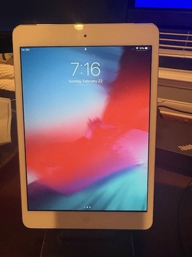 Apple ipad mini - ipad, gb
