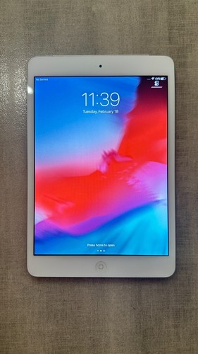 Apple ipad mini - ipad, gb